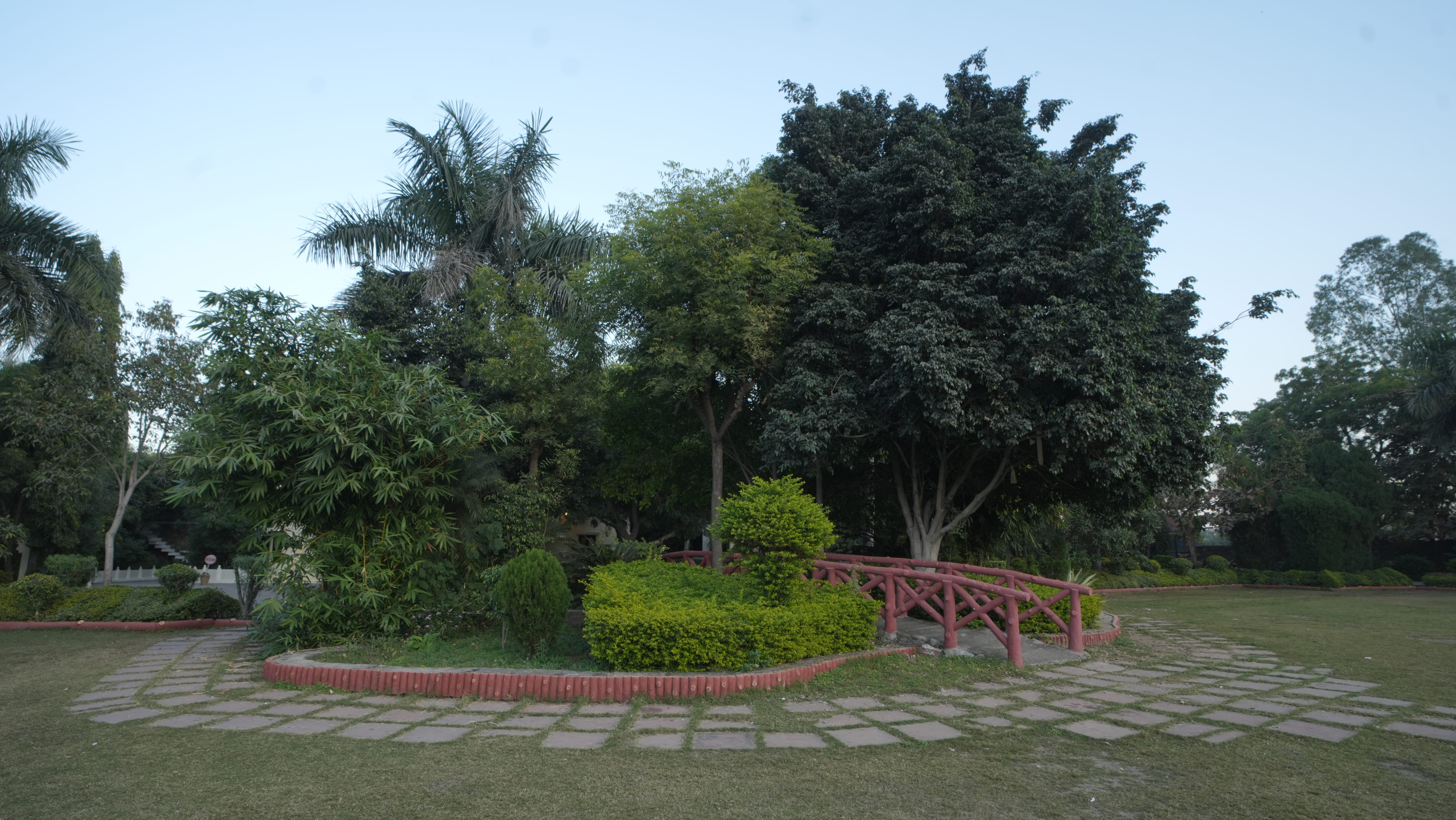 Wellness Experiences